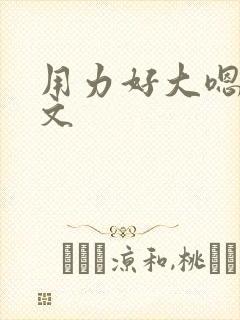 用力好大嗯啊h文