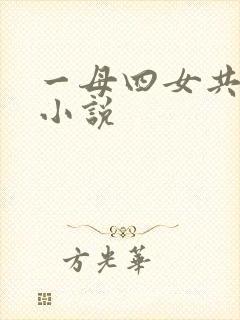 一母四女共一婿小说