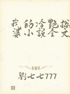 我的冷艳总裁老婆小说全文阅读封面