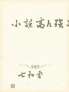 小说高h强制爱封面