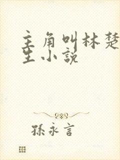 主角叫林楚的重生小说封面