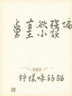 占有欲强偏执双男主小说封面