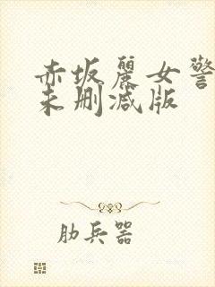 赤坂丽女警电影未删减版