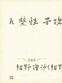 h 双性 子攻封面