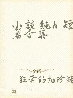 小说 纯h 短篇合集封面