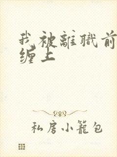 我被离职前上司缠上