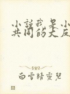 小说我是小说里共同的大反派