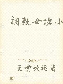调教女攻小说封面