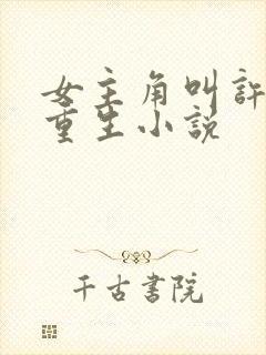 女主角叫许清欢重生小说