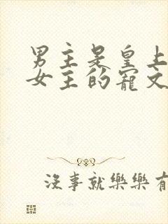 男主是皇上独宠女主的宠文