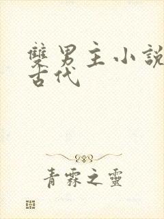 双男主小说推荐古代