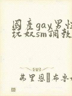 国产gay男性玩奴sm调教视频