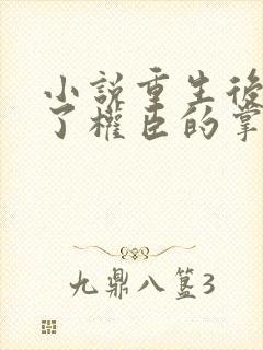 小说重生后我成了权臣的掌中娇全文在线阅读