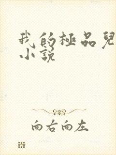 我的极品儿媳妇小说