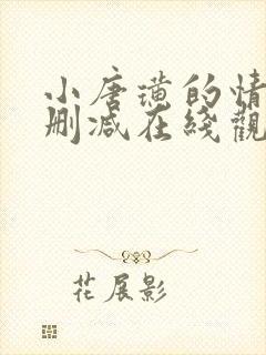 小唐璜的情史未删减在线观看