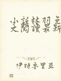 小说林羽免费全文阅读最新章节