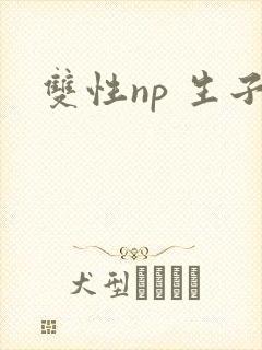 双性np 生子