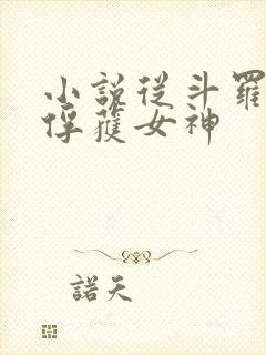 小说从斗罗开始俘获女神