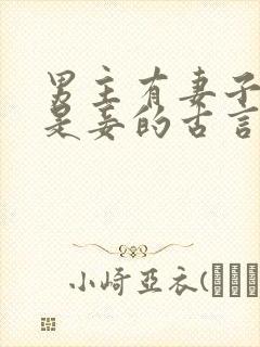 男主有妻子女主是妾的古言