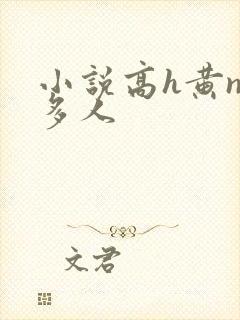 小说高h黄np多人封面