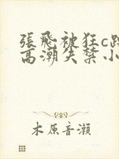 张飞被狂c躁到高潮失禁小说