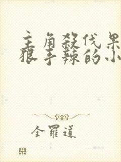 主角杀伐果断心狠手辣的小说