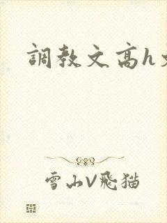 调教文高h文封面