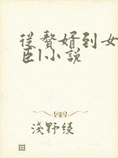 从赘婿到女帝宠臣l小说