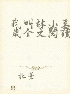 我叫林小喜19岁全文阅读