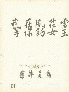 我在风花雪月里等你的女主