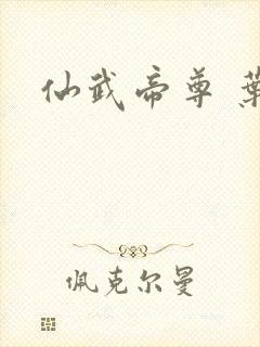 仙武帝尊 叶辰封面