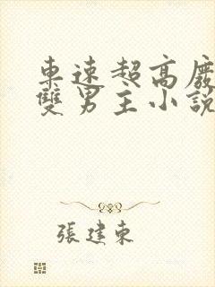 车速超高废文的双男主小说封面