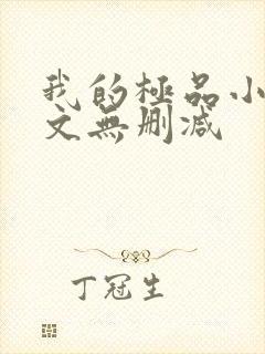 我的极品小姨全文无删减封面