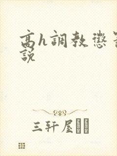 高h调教惩罚小说