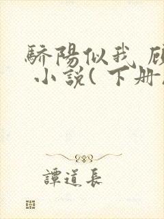 骄阳似我 顾漫 小说( 下册)