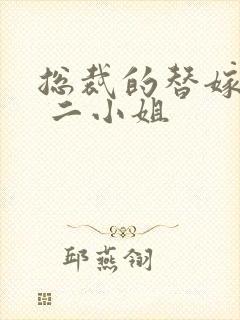 总裁的替嫁新娘 二小姐