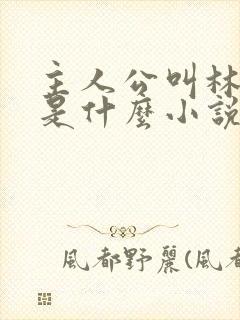 主人公叫林海的是什么小说封面