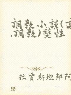 调教小说(高h,调教)双性