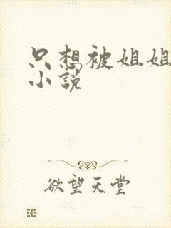 只想被姐姐欺负小说