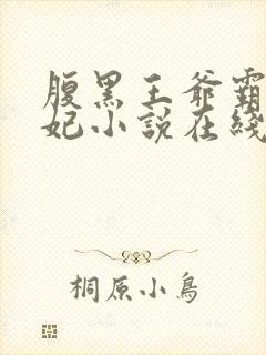 腹黑王爷霸道王妃小说在线阅读