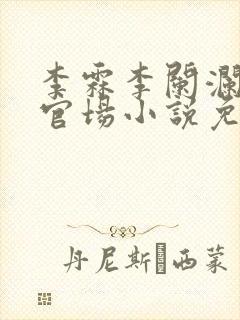 李霖李阑澜巅峰官场小说免费阅读封面