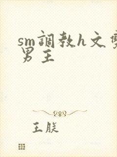 sm调教h文双男主