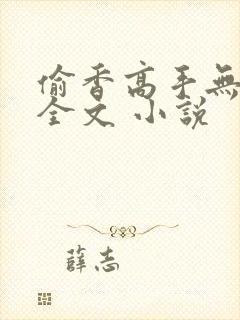偷香高手无删减全文 小说封面