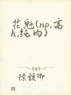花魁(np,高h,纯肉)