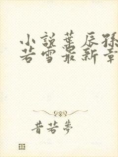 小说叶辰孙怡夏若雪最新章节阅读