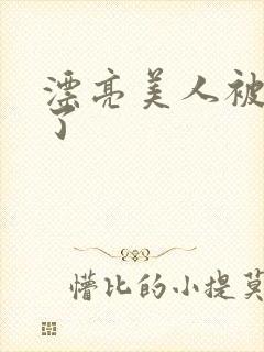 漂亮美人被玩坏了封面