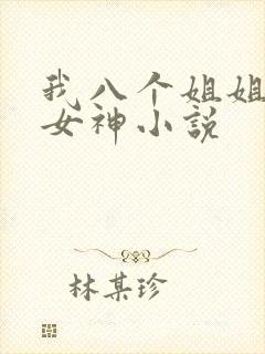 我八个姐姐全是女神小说