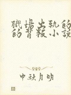 职场出轨的妻子的背叛小说封面