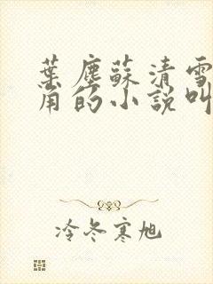 叶尘苏清雪为主角的小说叫啥