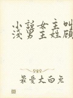 小说女主叫苏浅浅男主姓顾